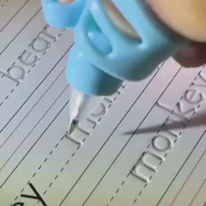 Reusable Grooved Workbook